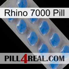 Rhino 7000 Pill 22